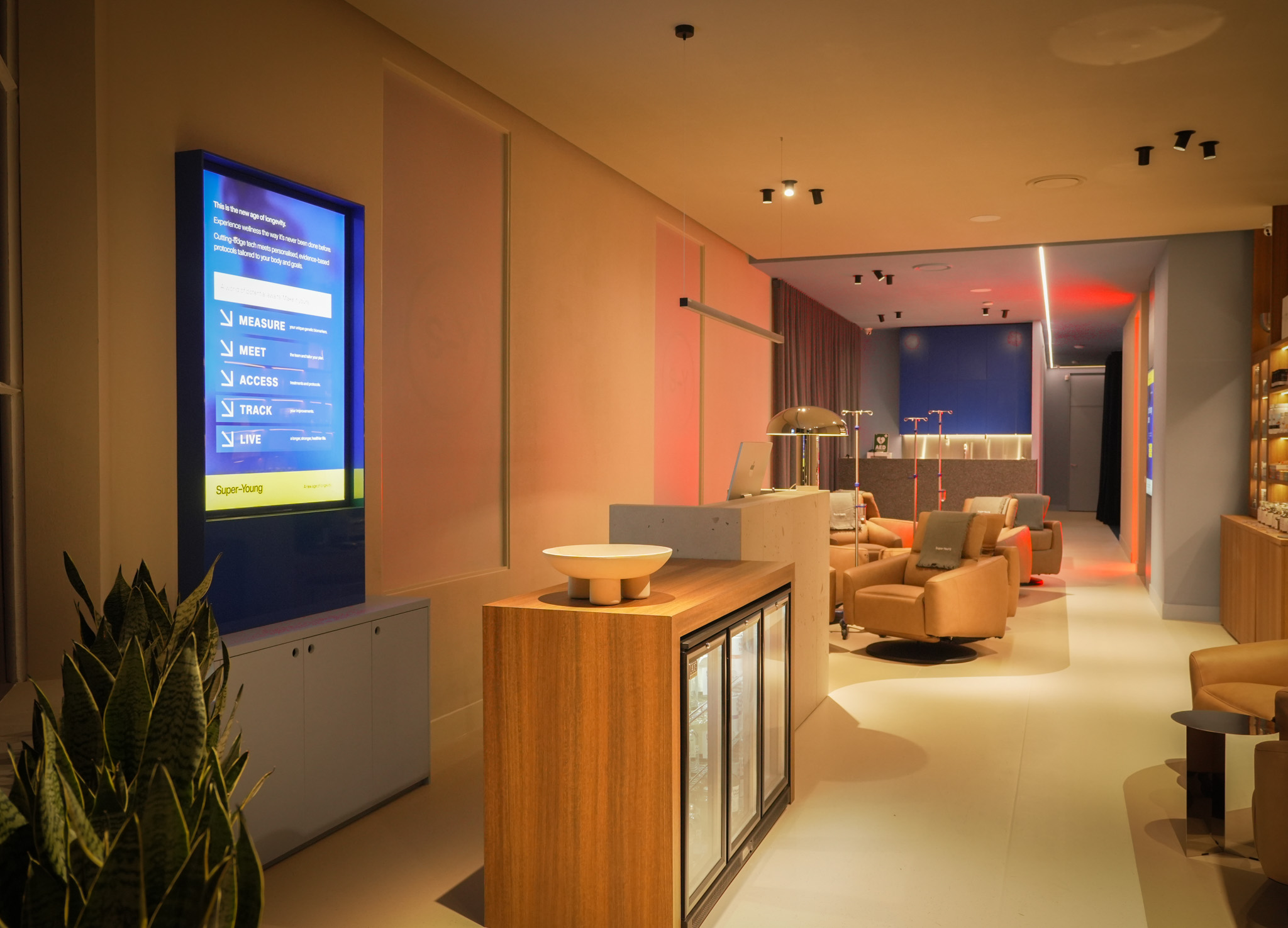 Super Young interior 1